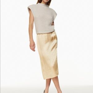 Aritzia Barton skirt
